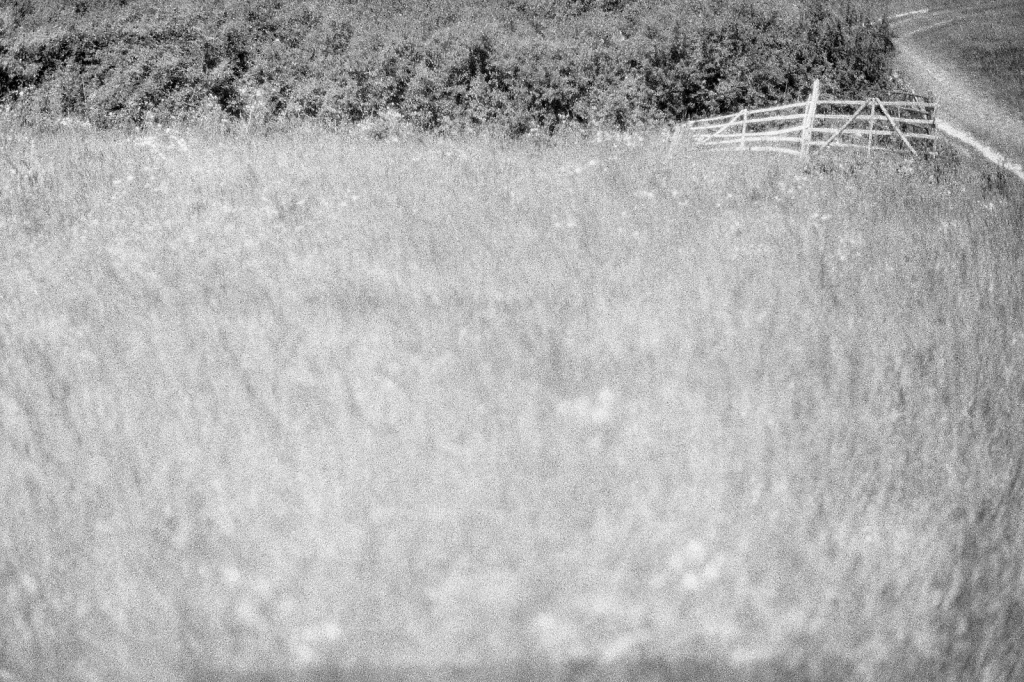 black and white photo of countryside field