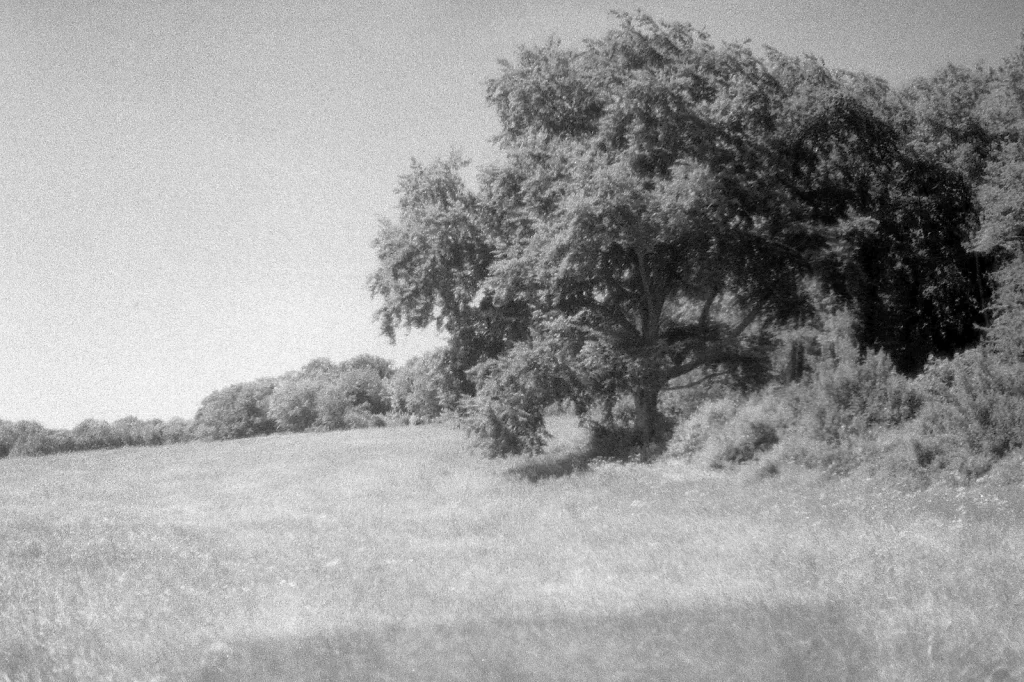 black and white photo of countryside field