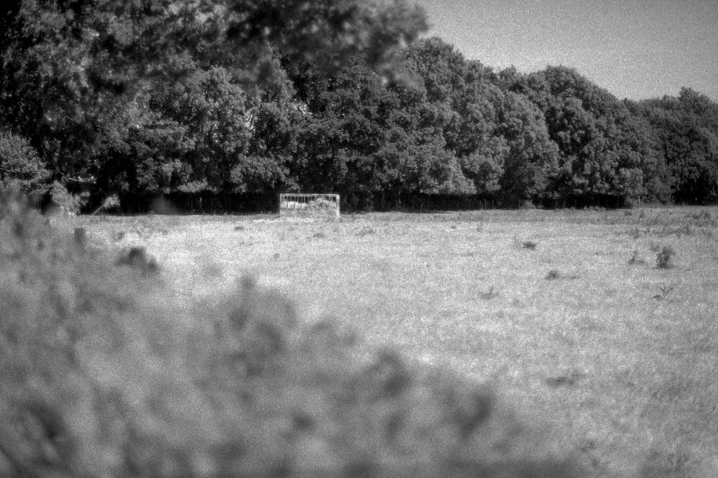 black and white photo of countryside farming