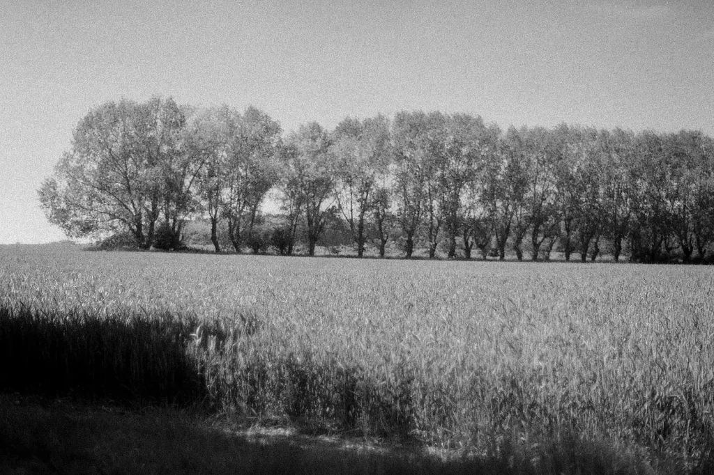 black and white photo of countryside farming