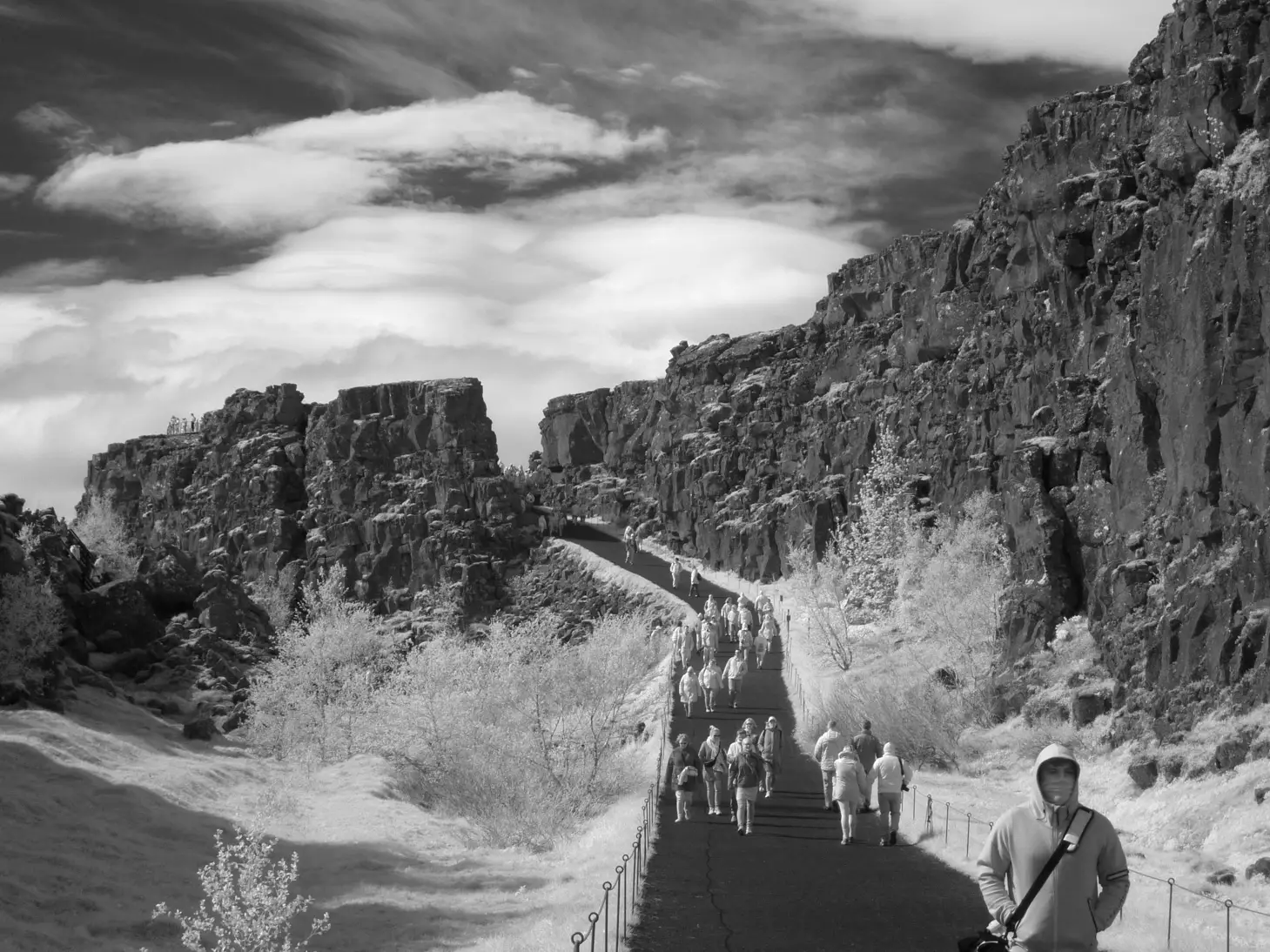 Thingvellir Iceland