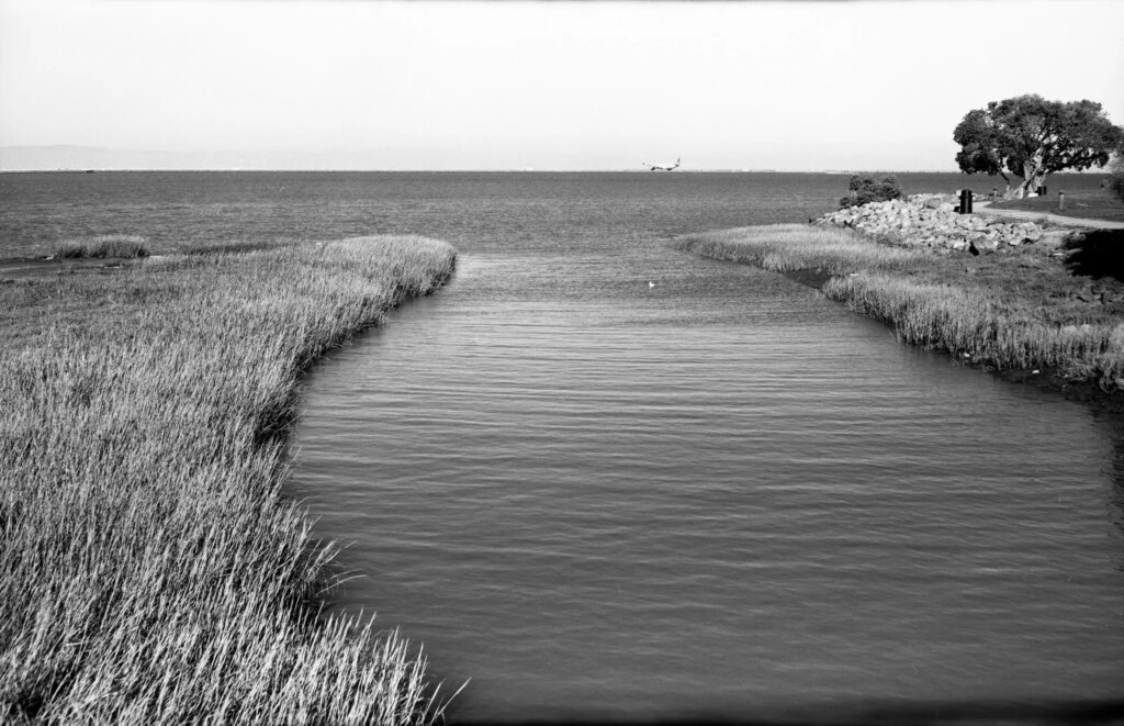 Plane ready for taking off SFO by Agfa Record II Solinar