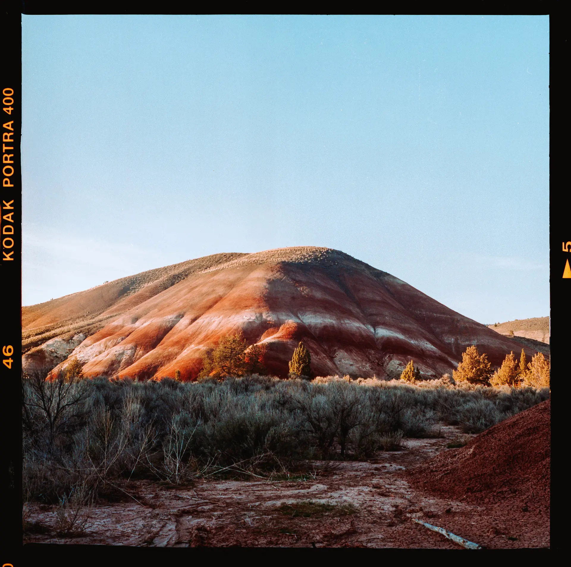 Roadside during sunset | Portra 400