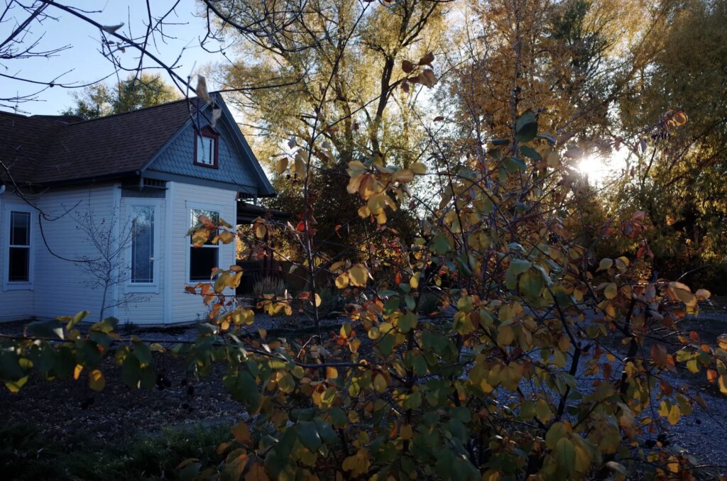 small house surrounded by trees with yellow leaves and sunlight peaking through branches