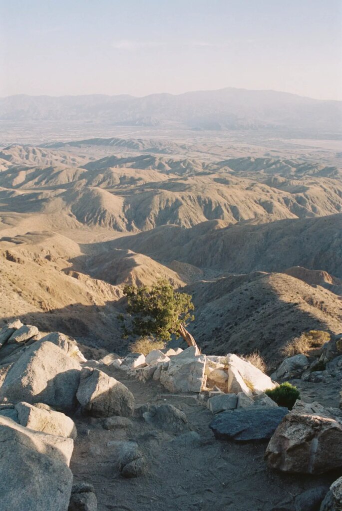 Arizona mountain top. Michael Allan-Wood.