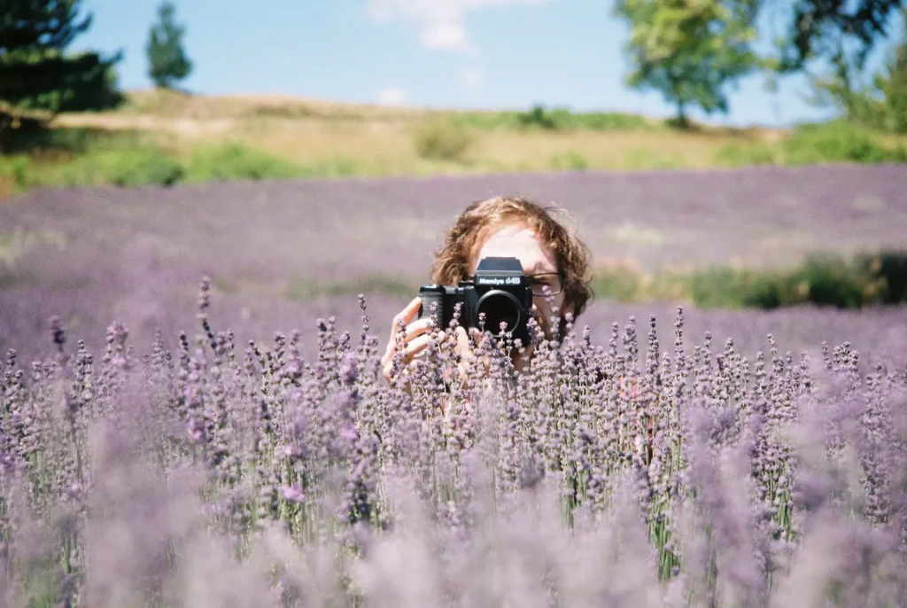 Photographer poking out of a field of lavender. Taken with a Voigtländer Bessamatic DeLuxe using a 90 mm lens and Kodak Gold 200