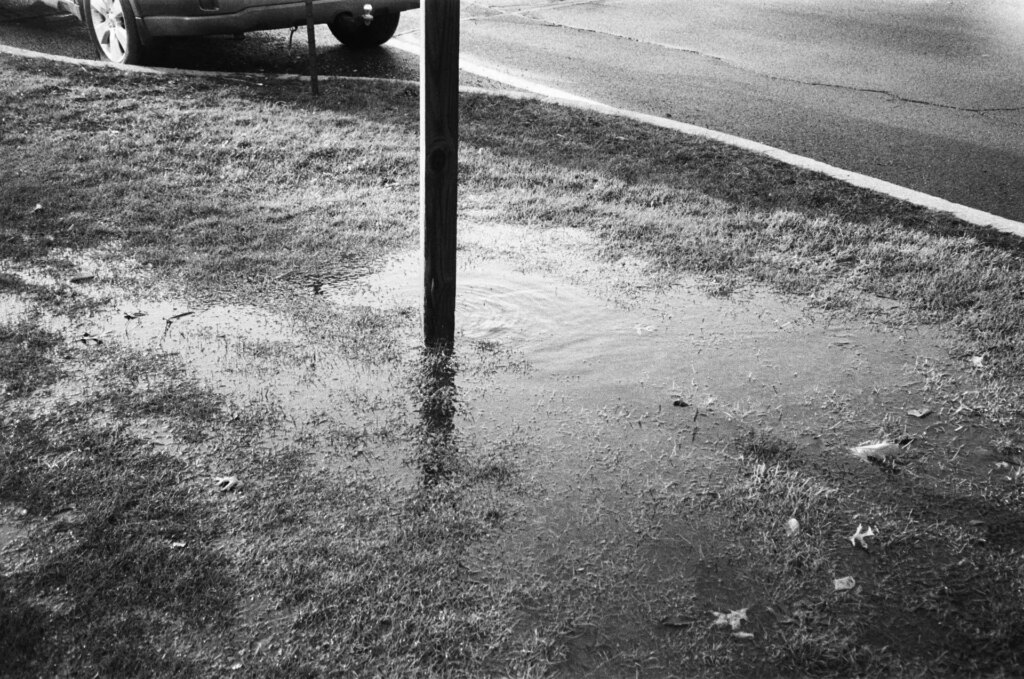 A puddle reflecting a pole