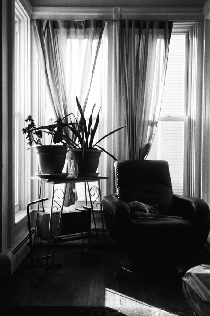 A cat sleeping in a chair next to a stand with plants on top and books beneath