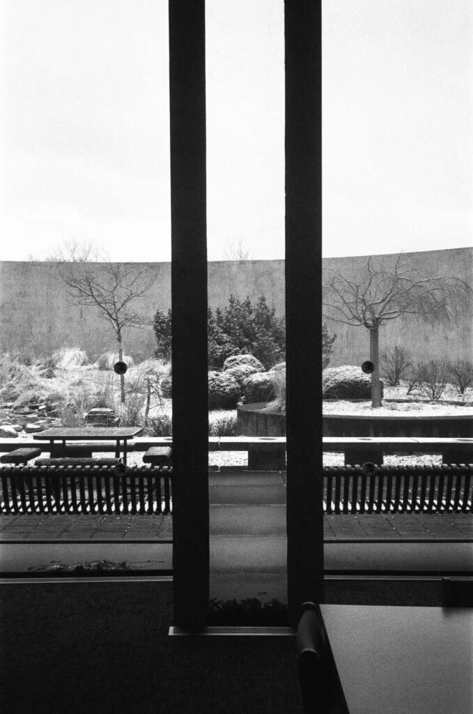 A snowy zen garden outside a library sitting area