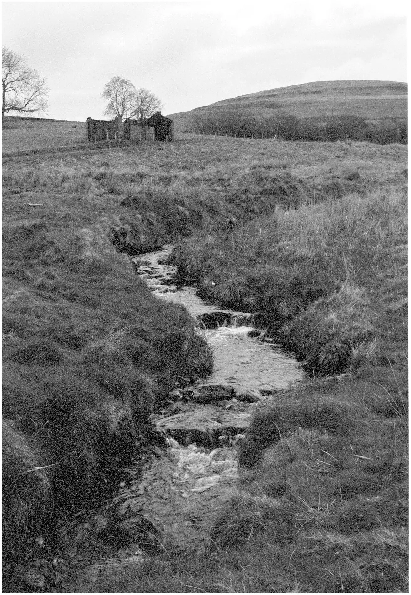 Welsh stream