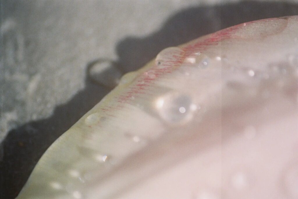 More raindrops 