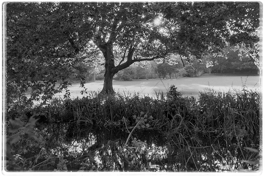 River Itchen, Winchester