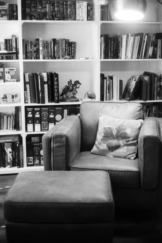 chair and lamp with bookshelves