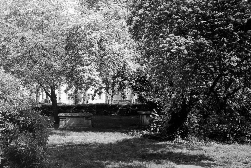 Black and white photograph of tree in blossom above a single tombstone, with London street in the rear-ground
