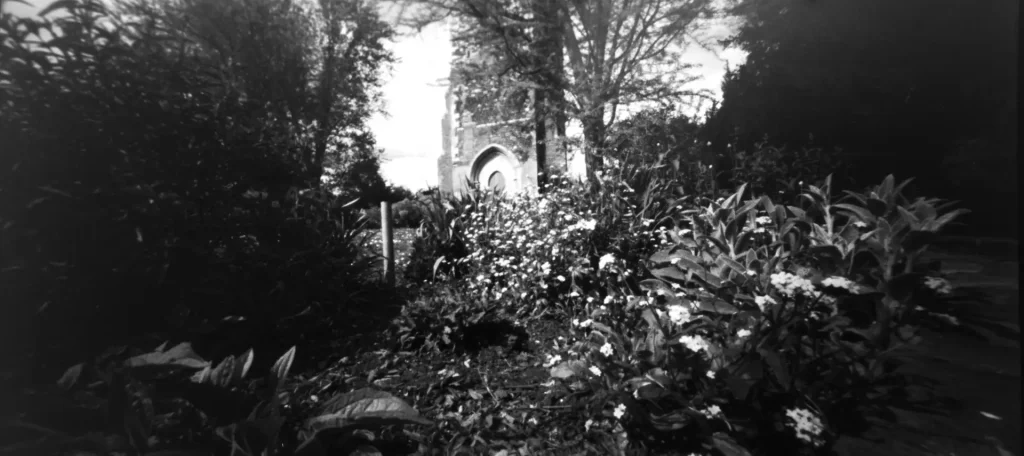 Black and white photograph of flowers in flowerbed, with church tower in the rear. Strong vignetting from pinhole camera