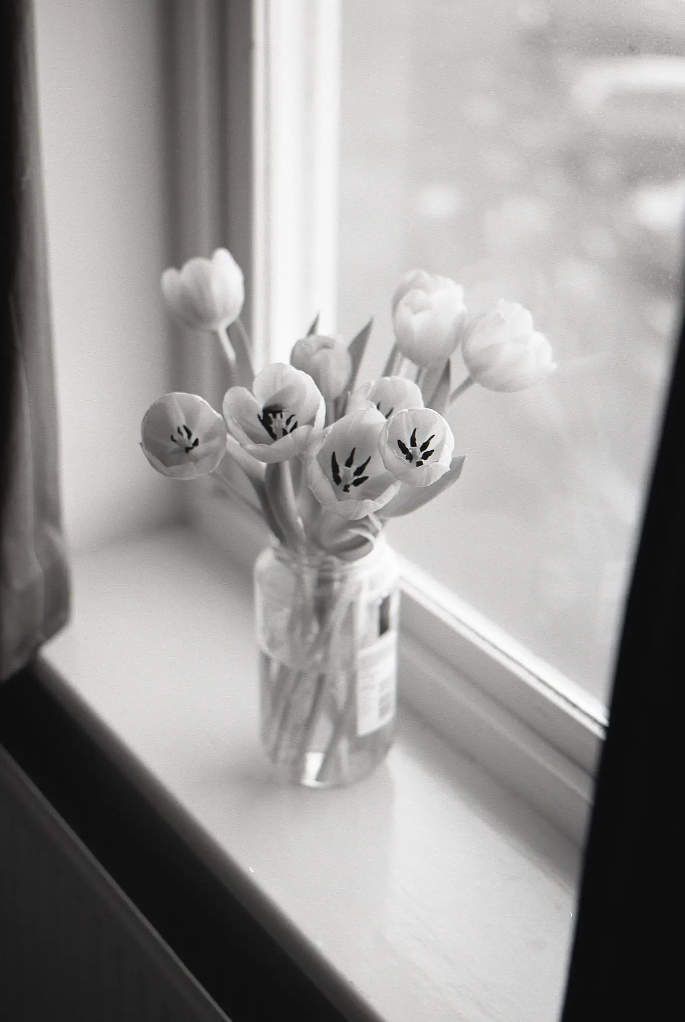 Flowers on Fujifilm Acros 100