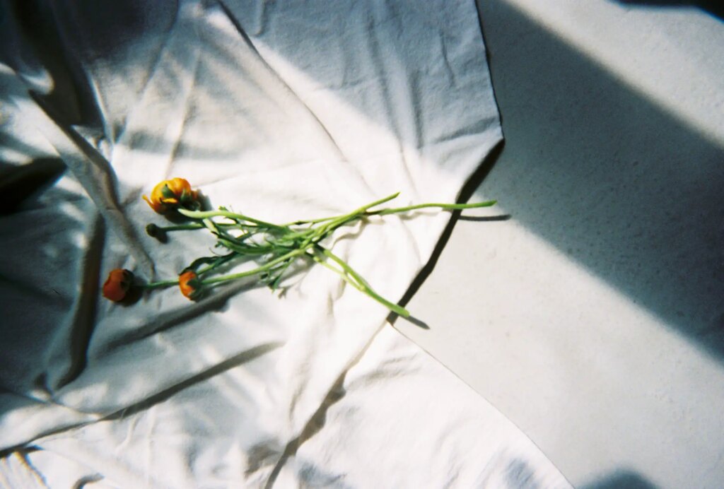 flowers on white sheet with window light