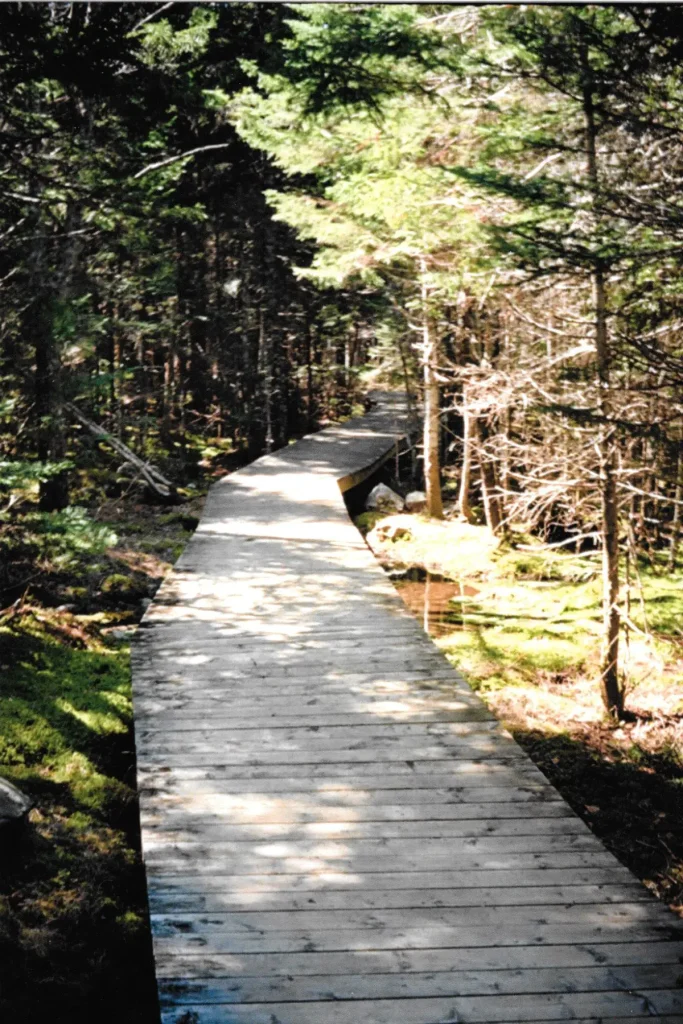 Caribou Plain Trail