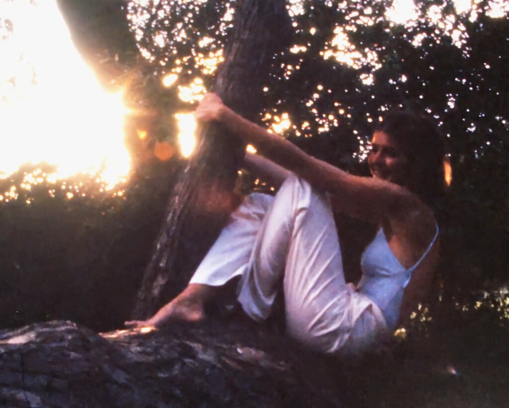 Lovely girl in a tree