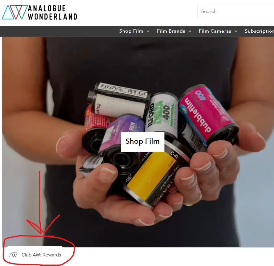 Screenshot of Analogue Wonderland website with the rewards area circled in red pen
