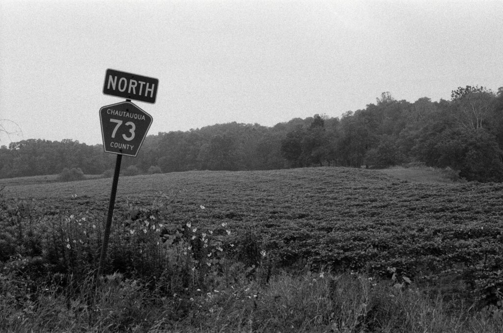 A vineyard just off of Route 73 North