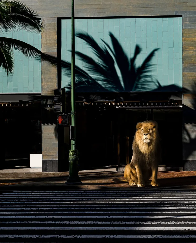 EndangeredHawaii/WildWaikiki