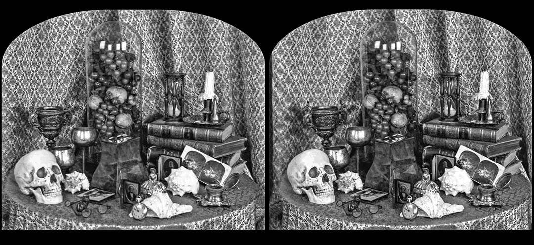 Stereoscopic still life taken with a 120 Sputnik stereo camera