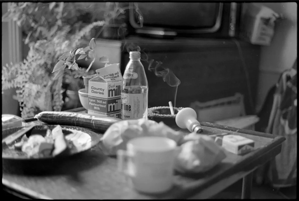 Still life with cucumber, lightbulb and cigarette (1986)