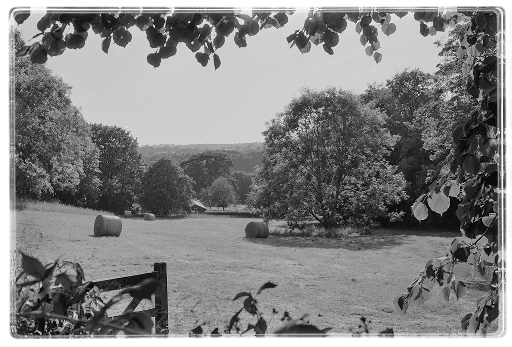 Summer in West Devon