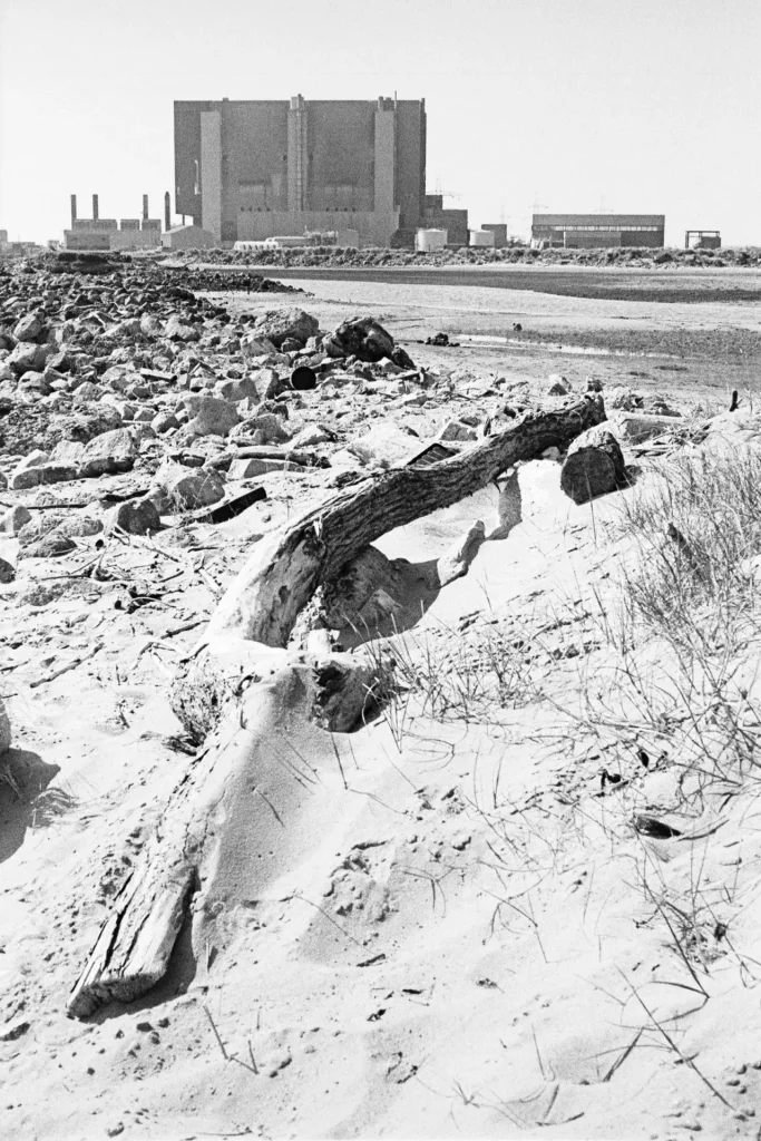 Greatham Creek - Kowa H. T-MAx developed with Caffenol.