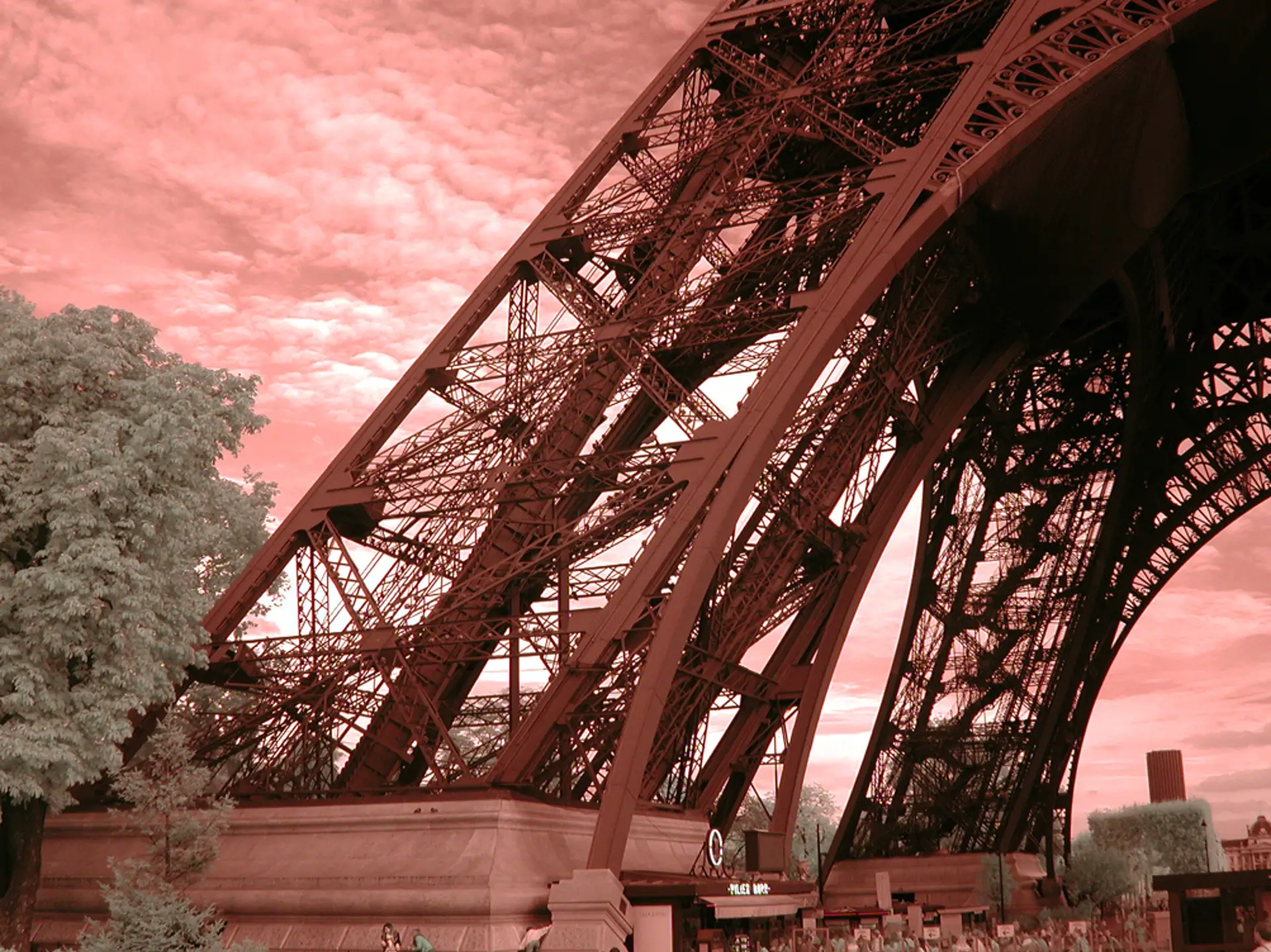 Leg of tthe Eiffel Tower