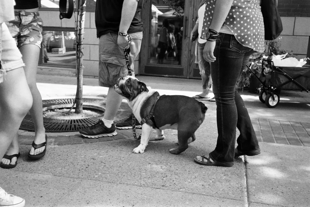 Street Market Wednesday, Edmonton - TMax 400