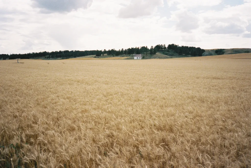 Somewhere In North Dakota - Portra 400