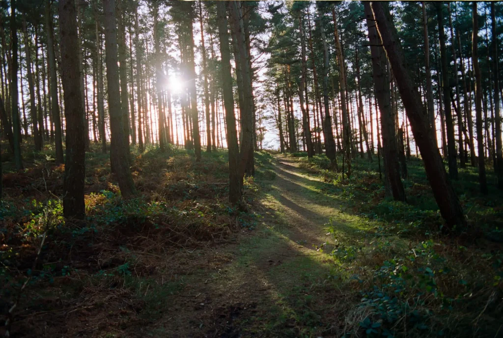 Contax S2, Carl Zeiss 28mm f2.8, Kodak Portra 400