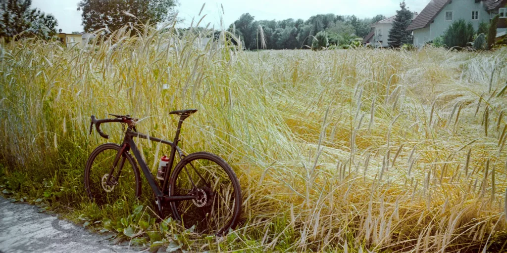 Summer Cycling