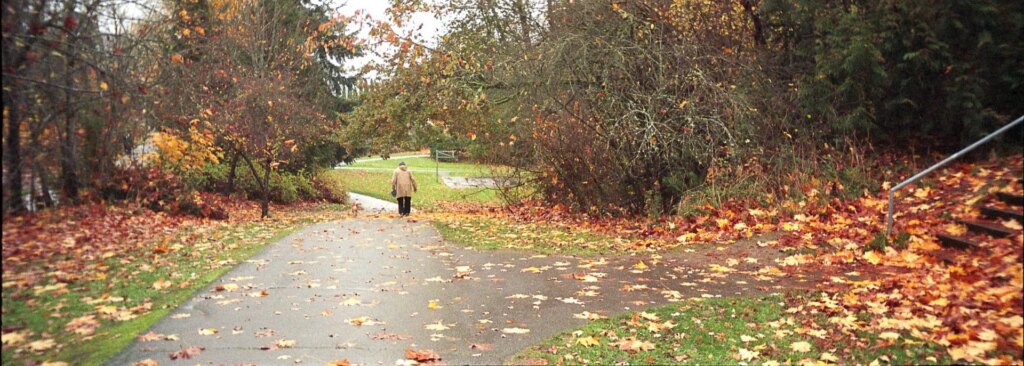 autumn scene after the rain with leaves fallen on the ground and a single person walks in the middle of the frame