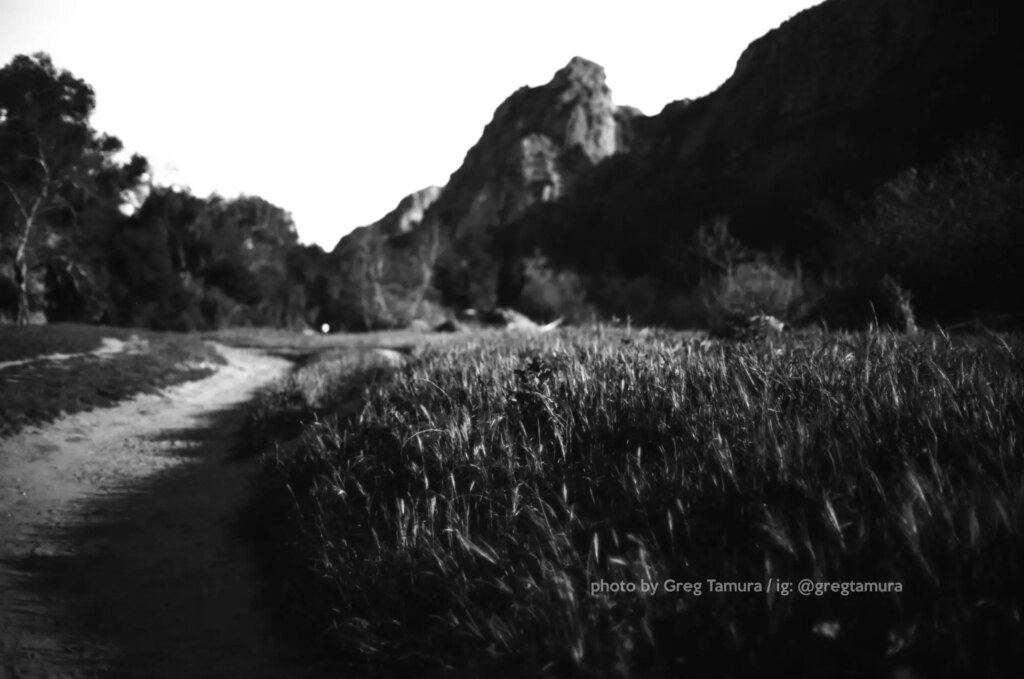 black and white landscape with the foreground in focus and blurred background