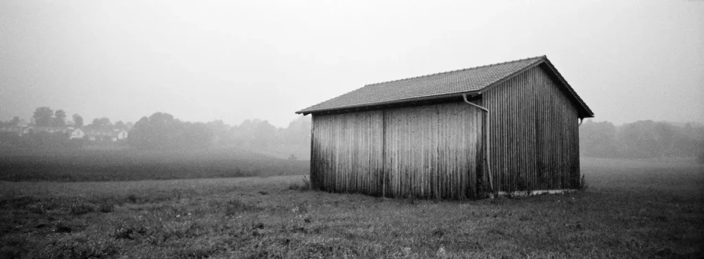 a foggy morning