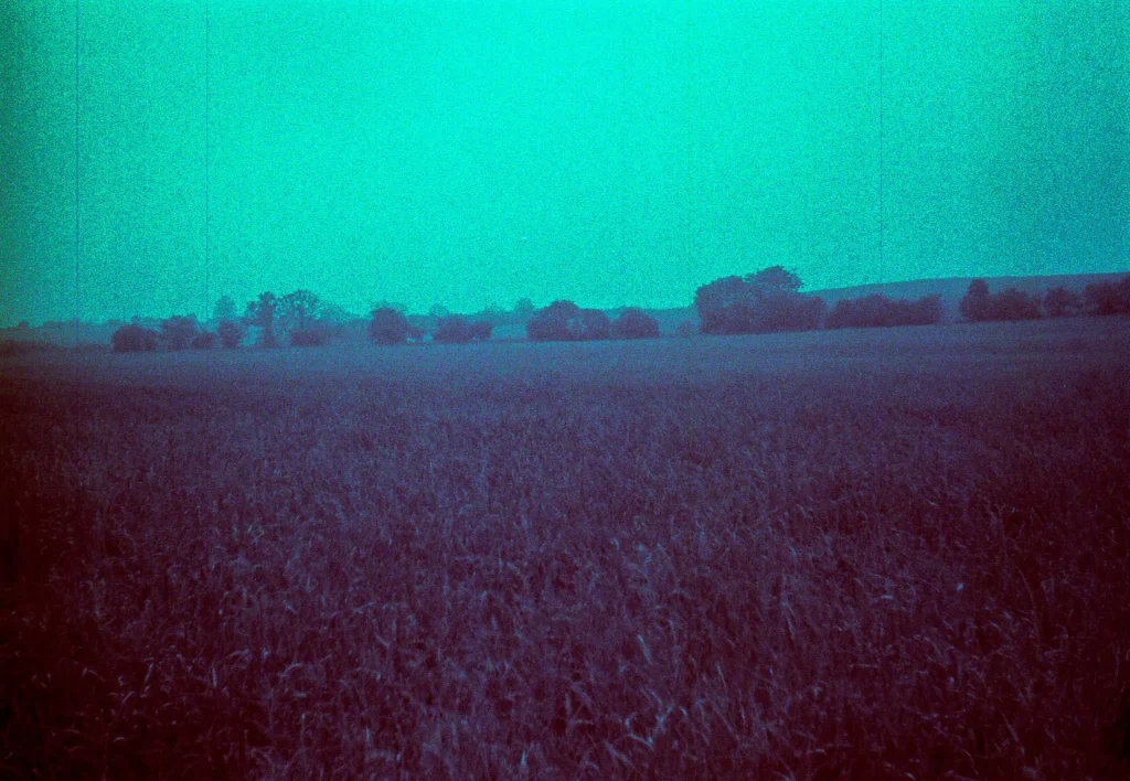 Blue Day - Kodak Retinette IIA