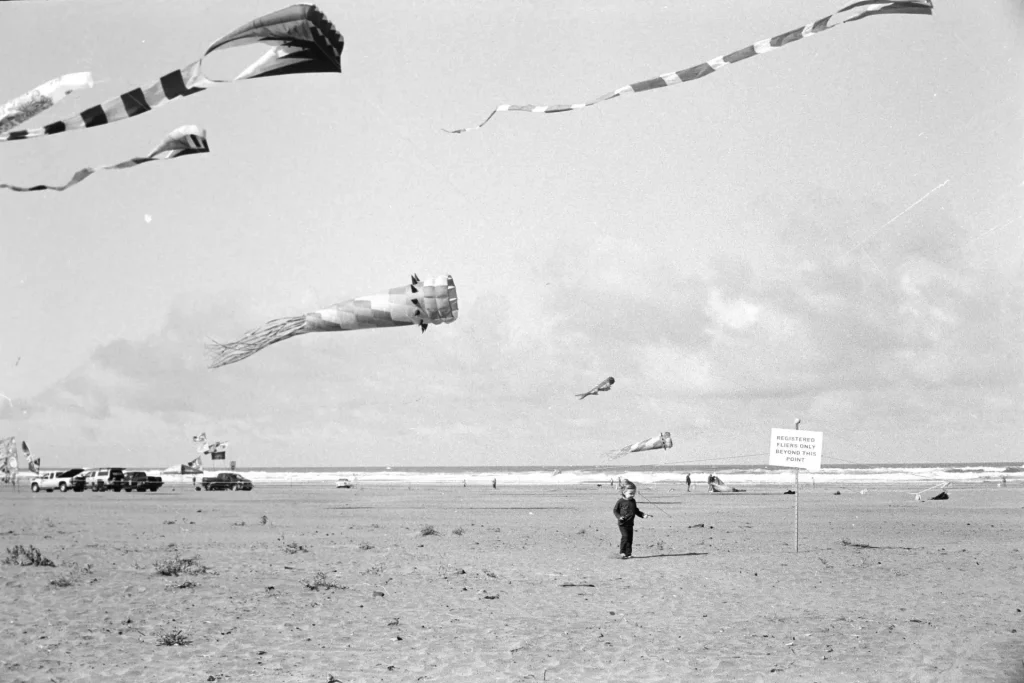 kid on beach with kites