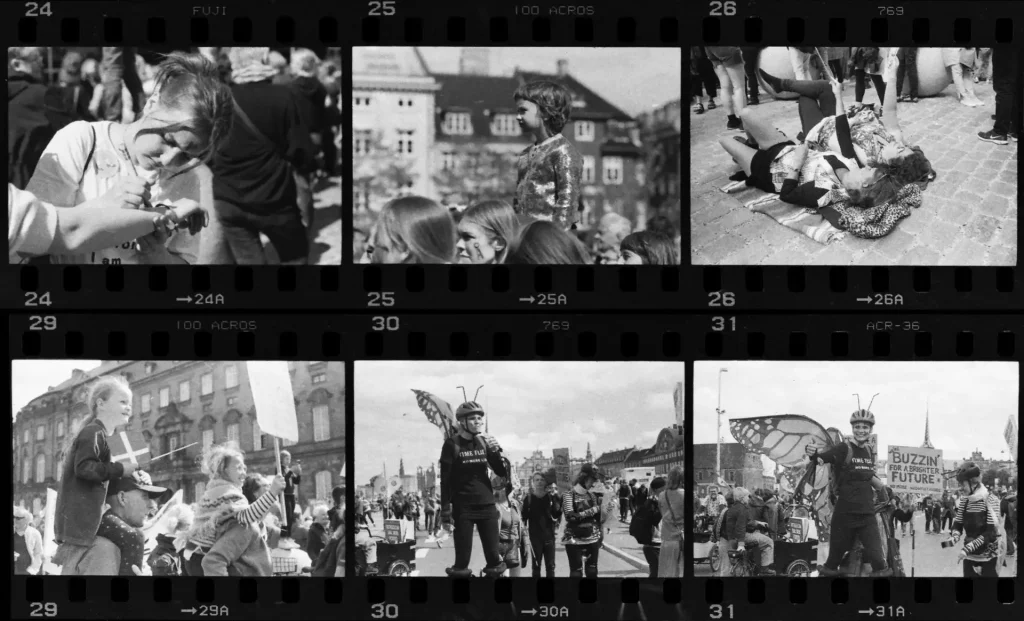 contact sheet