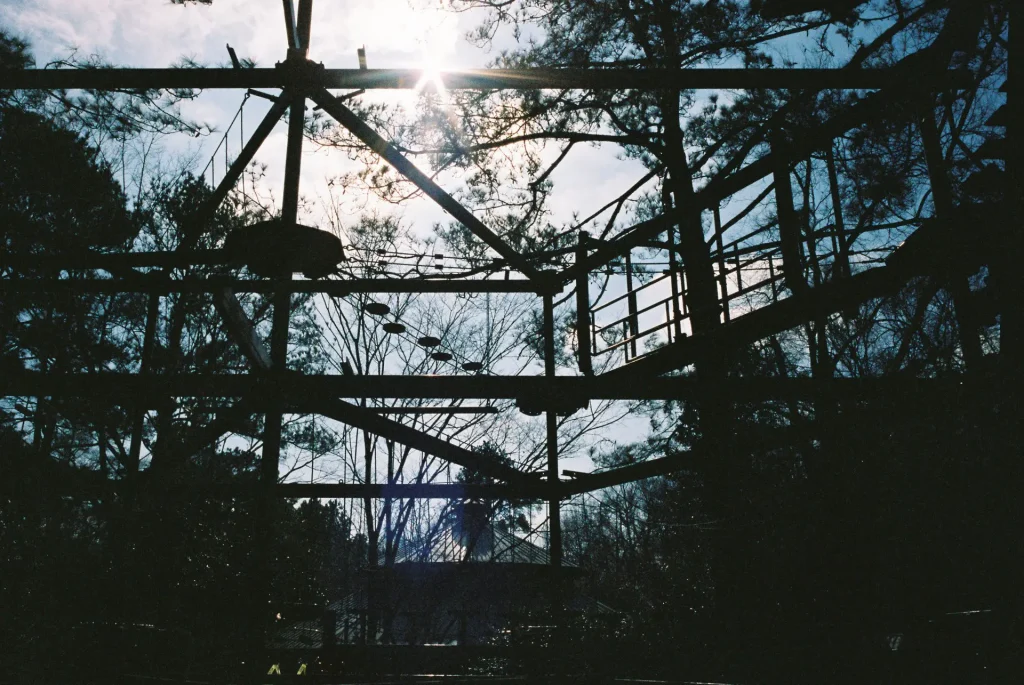 A treetop zipline course under clear, sunny skies