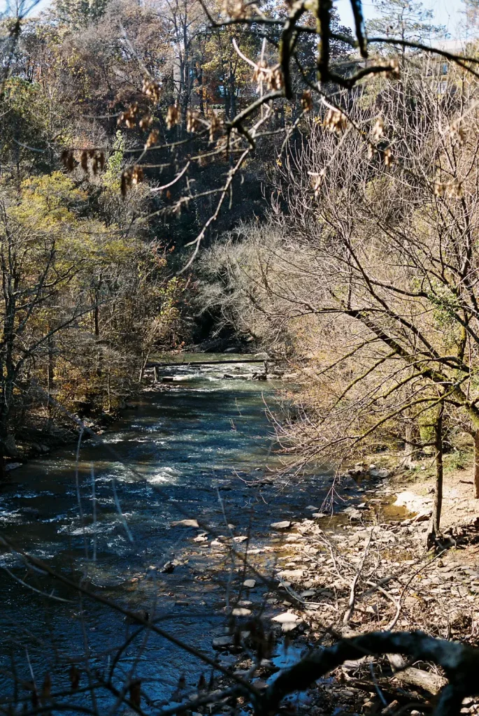 a river and the surrounding scenery