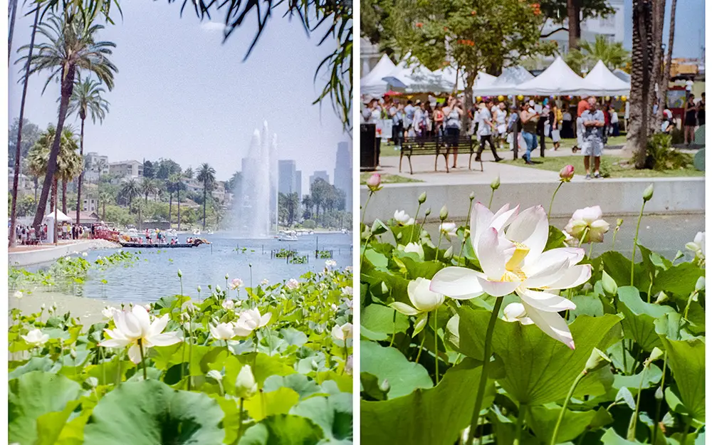 Shooting Diptychs with the Olympus Pen FT - by Noel Roque - 35mmc