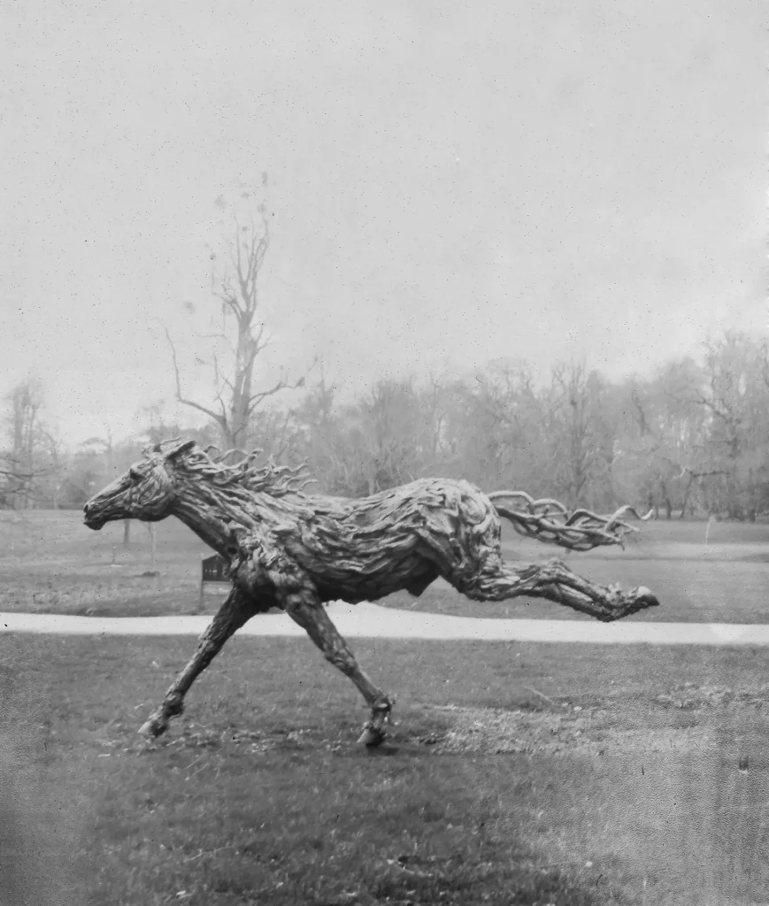 Photo of driftwood horse sculpture