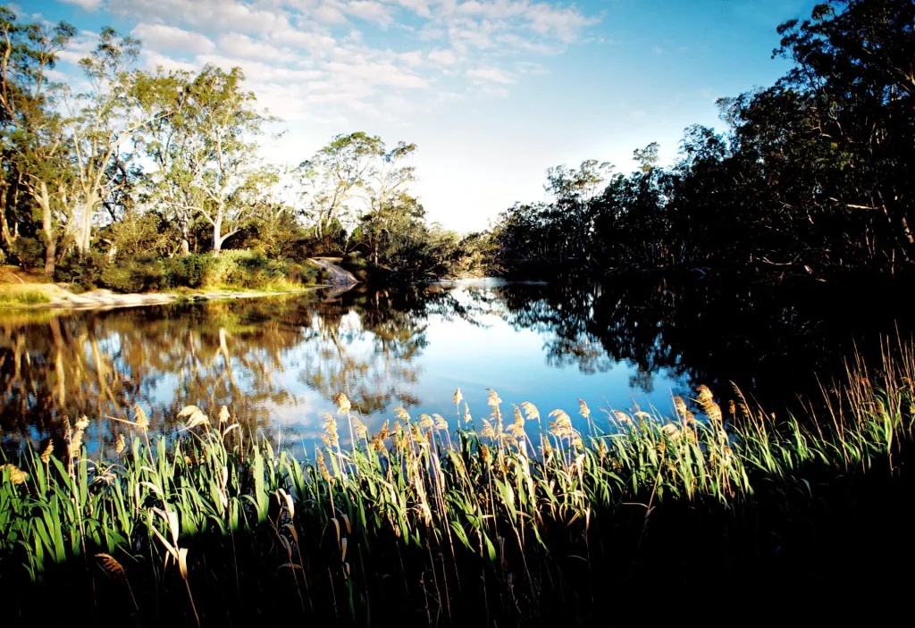 Wimmera River