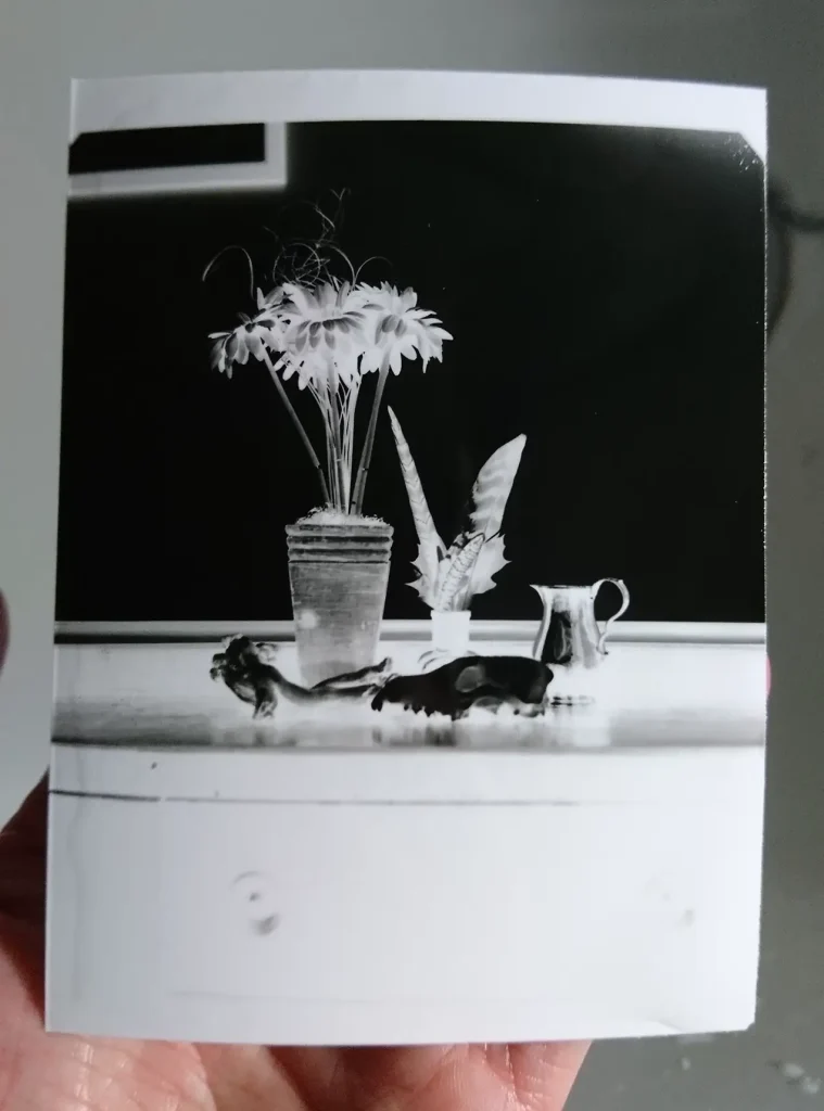 Paper negative drying