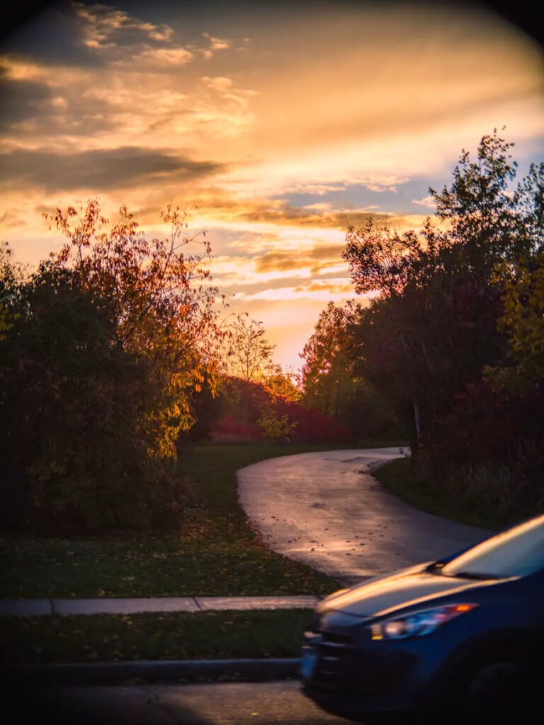 sunset of a forested trail