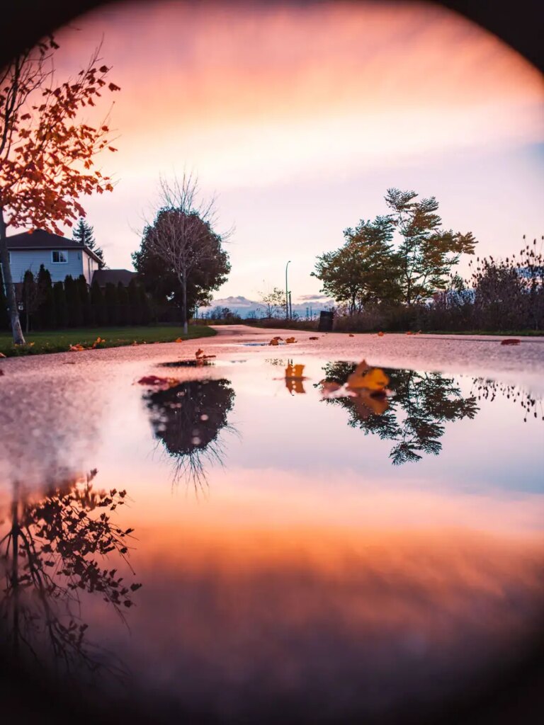 puddle refection in the sunset