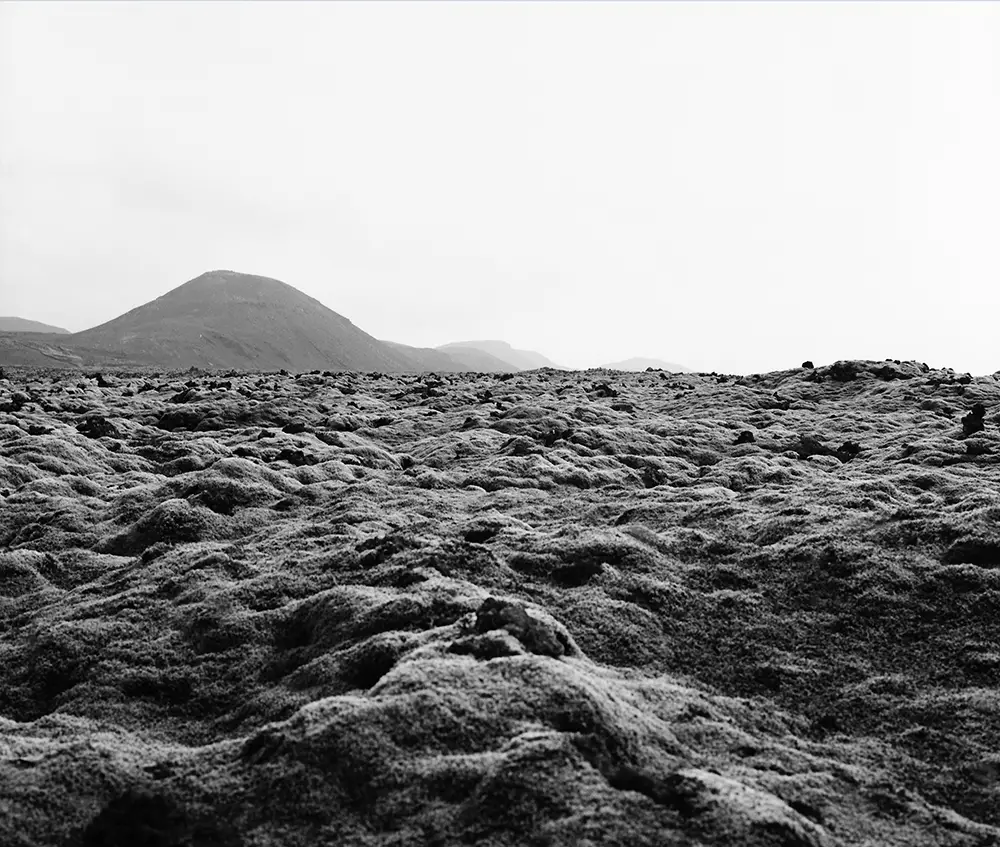 Icelandic lava fields 